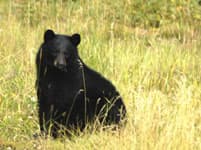 Rocky Mountain Raft Tours