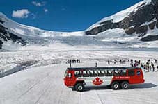 The Columbia Icefield