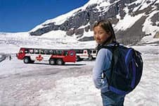 The Columbia Icefield