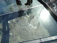 The Glacier Skywalk