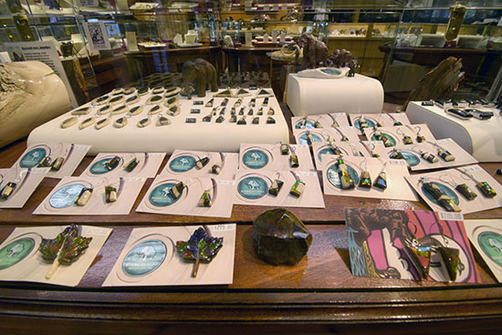 Ammolite in the Rockies